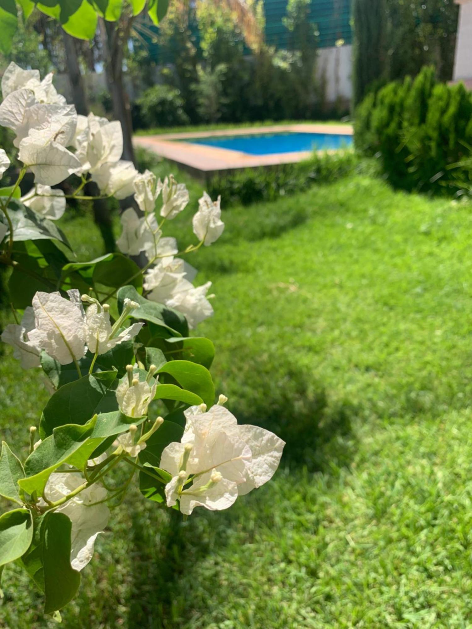 Villa Fatima Fez Bagian luar foto