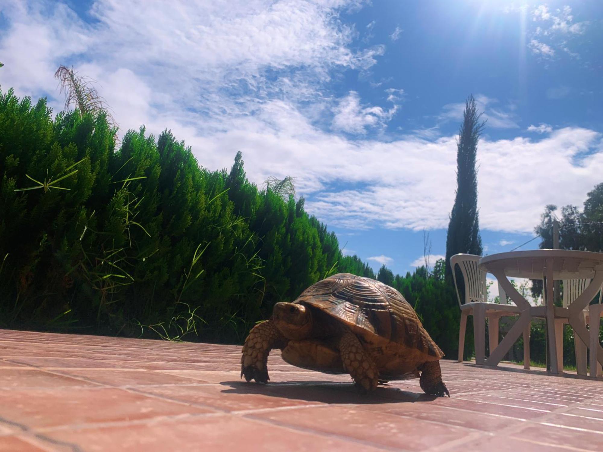 Villa Fatima Fez Bagian luar foto
